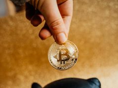Kripto Para Pazarında Gelecek: Pitbull Coin, Komisyon Oranları ve Kullanım Alanları cryptohaber.com2