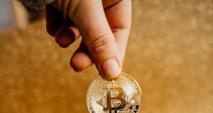 Kripto Para Pazarında Gelecek: Pitbull Coin, Komisyon Oranları ve Kullanım Alanları cryptohaber.com2