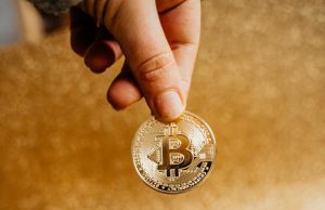 Kripto Para Pazarında Gelecek: Pitbull Coin, Komisyon Oranları ve Kullanım Alanları cryptohaber.com2