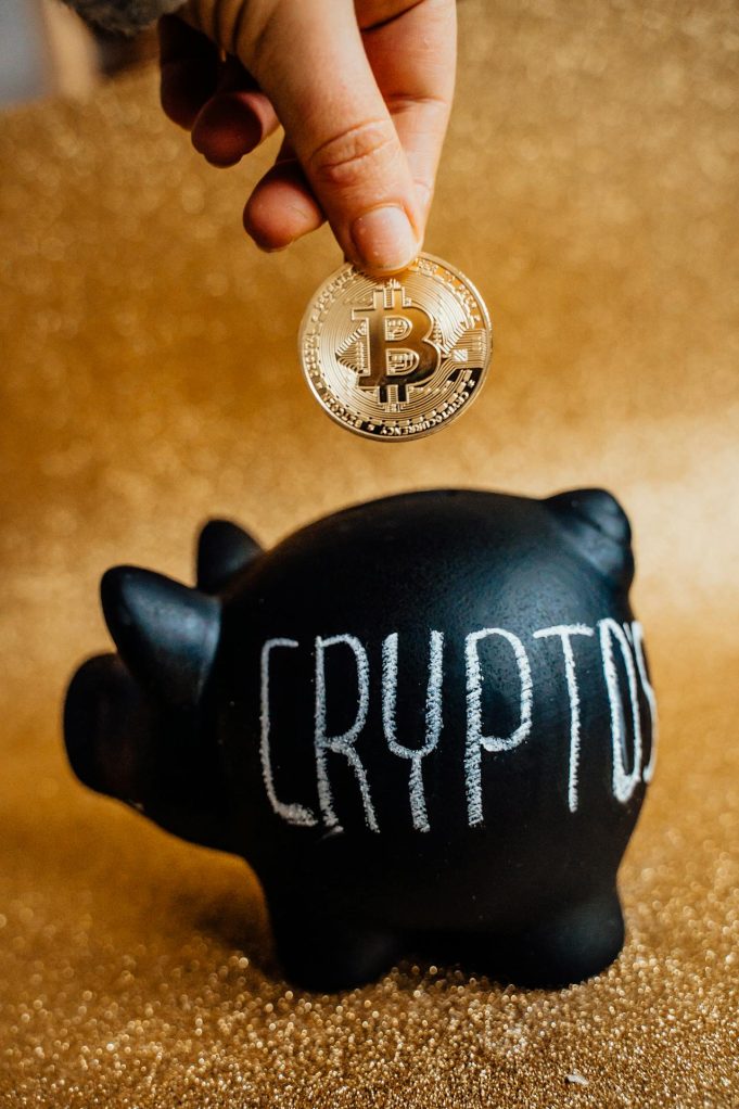 Kripto Para Pazarında Gelecek: Pitbull Coin, Komisyon Oranları ve Kullanım Alanları cryptohaber.com2
